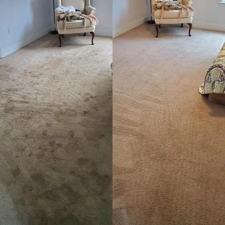 Living room carpet, before and after cleaning