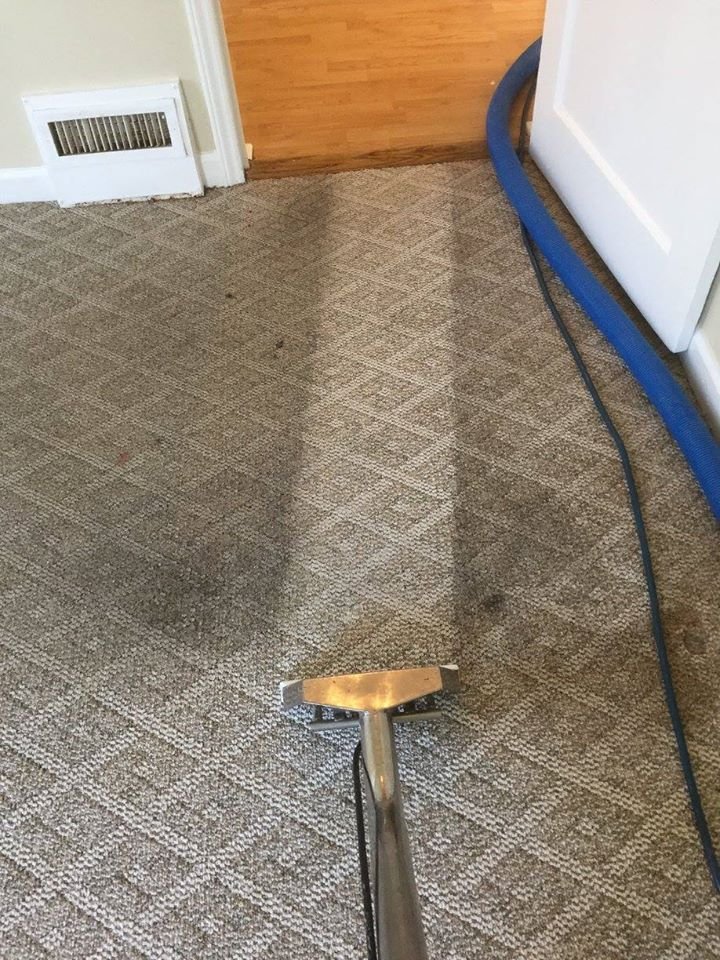 Carpet cleaning wand and hose mid-pass in a hallway
