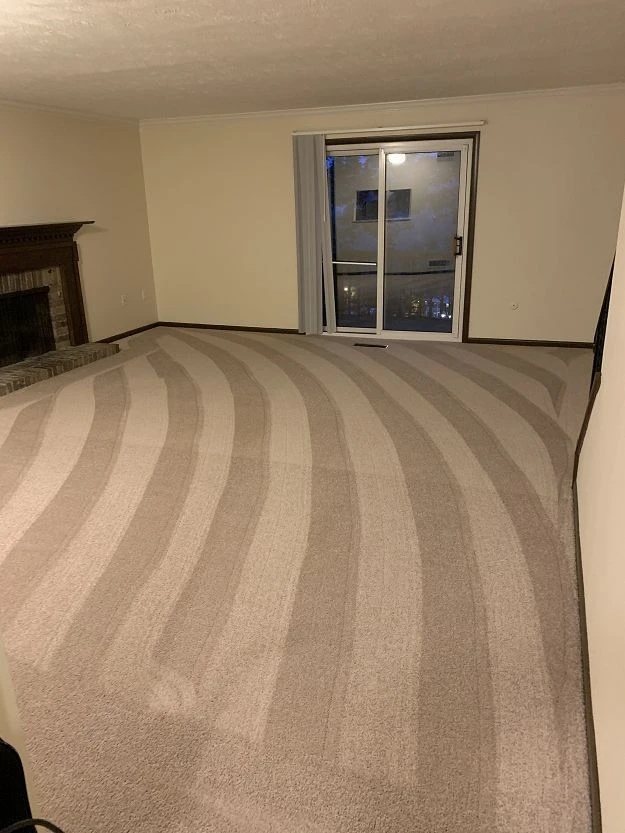 Freshly cleaned living room carpet with wave-pattern vacuum lines